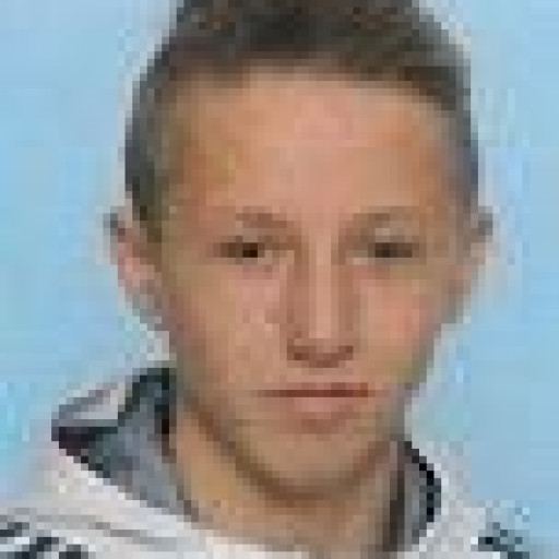 Stevan Moreau